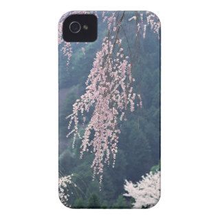 Cherry Blossom 5 iPhone 4 Cases