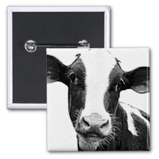 Dairy Cow   Black and White Dairy Calf Pinback Button