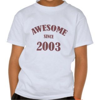 Awesome Since 2003 Tshirt