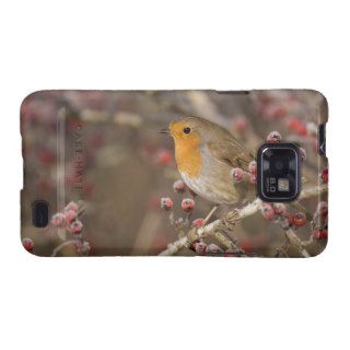 European robin perched among frost covered berries samsung galaxy s covers