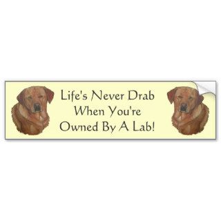 golden labrador retriever dog amusing slogan bumper sticker