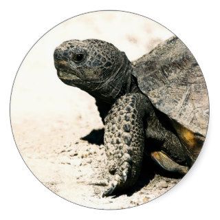 Gopher Tortoise Art Round Sticker