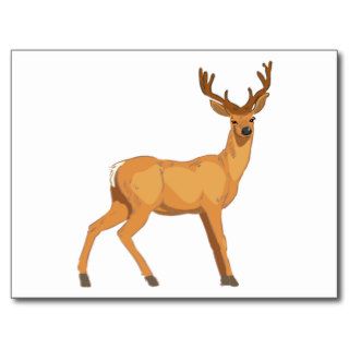 Cartoon Deer Postcard