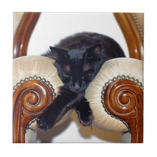 Relaxed Black Cat Sleeping Between Two Chairs Ceramic Tile