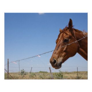 USA, Texas, Chillicothe, Horse stands beside Print