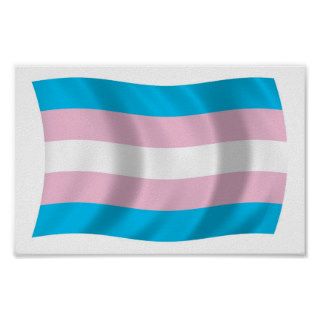 Transgender Pride Flag Poster Print