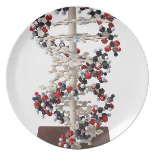 DNA Model Dinner Plate