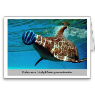 Dolphin Frisbee Card