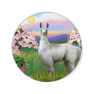 Llama and Spring Blossoms Stickers