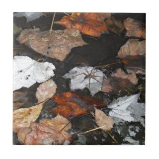 Spooky Spider on floating fall leaves on water Tiles