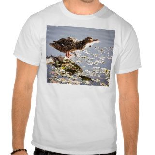 Not Duck Dynasty T shirt