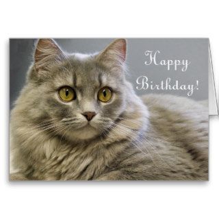 Grey Cat portrait  Birthday Card