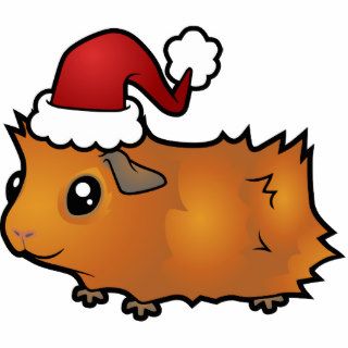 Christmas Guinea Pig Ornament (scruffy) Photo Cut Out