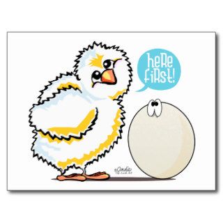 Chicken Came First Funny Chick w/ Egg Post Cards