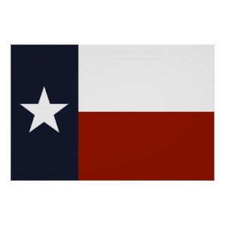 Texas Flag Print