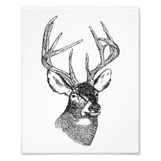 Vintage deer art graphic photo