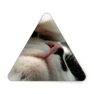 Tuxedo Kitty Has A Sick Headache Sticker