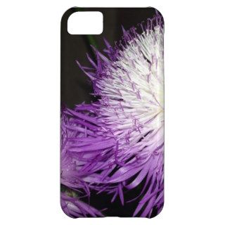 Purple Sweet Sulton iPhone 5C Covers
