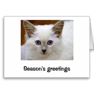 Season's greetings baby cat Senna Greeting Card