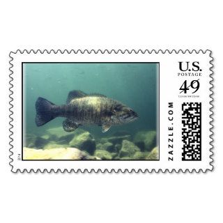 Smallmouth Bass Postage Stamp