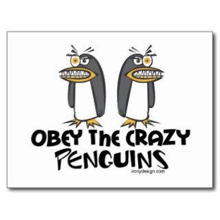 Obey the crazy Penguins Postcard