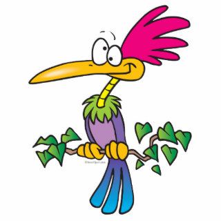 kooky crazy tropical exotic bird cartoon acrylic cut out