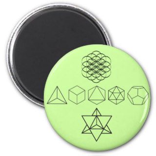 platonic solids magnets