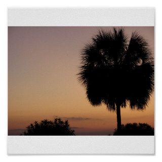 Charleston Palm Poster
