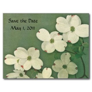 Vintage Cherry Blossom Save the Date Post Cards