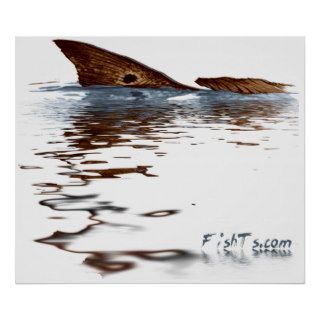 4ft Reflections of Redfish Poster