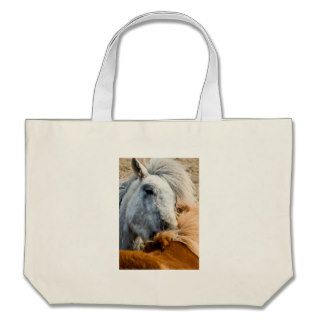 Horse cleaning canvas bags