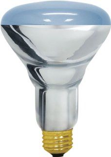 GE Lighting Reveal Halogen 75414 65 Watt, 485 Lumen R30 Floodlight Bulb with Medium Base, 1 Pack    
