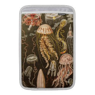 Vintage Jellyfish Antique Jelly Fish Illustration MacBook Sleeve