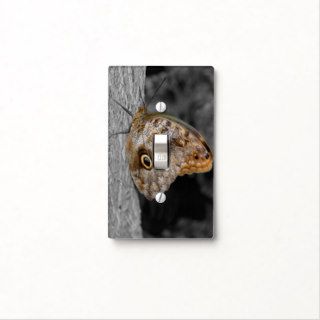 Owl Butterfly In Black And White Light Switch Plate