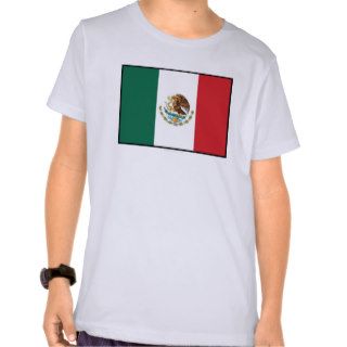 Mexico Plain Flag T shirt