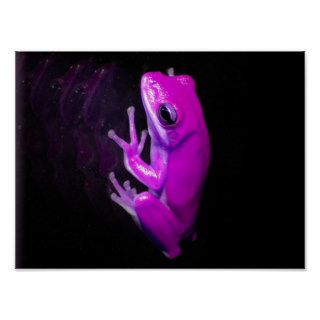 Hot Pink Tree Frog Posters