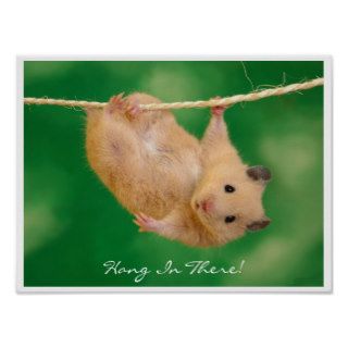 Hang in There Hamster Print