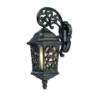 Alico Lighting 502MM Acclaim Lighting Marbleized Mahogany Finished Outdoor Sconce with Scavo Glass Shades   Wall Porch Lights  