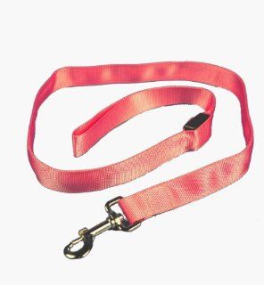 Aviditi AL503 L LED Lighted Dog Leash, Pink with Pink LED Lights, Large  Pet Leashes 