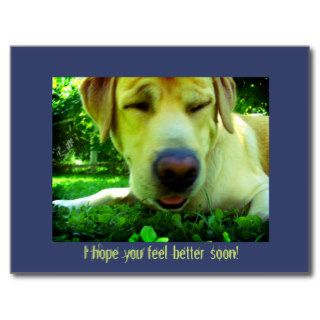 I hope you feel better soon post cards