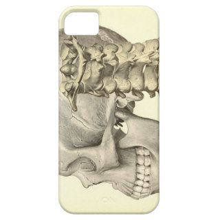 Skull and Cervical Spine Phone Cover iPhone 5 Cover