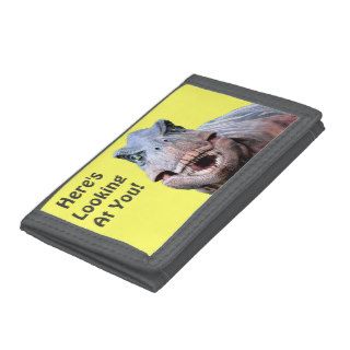 Here's Looking At You   T.rex Dinosaur Wallet