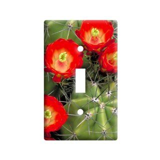Claret Cup Cactus   Cacti   Plastic Wall Decor Toggle Light Switch Plate Cover    