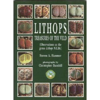 Lithops Treasures of the Veld (Observations on the genus Lithops N.E.Br.) Steven A. Hammer, Christopher Barnhill 9780902099647 Books
