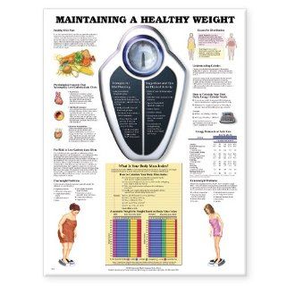 Maintaining A Healthy Weight (9781587794100) Anatomical Chart Company Books