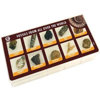 Rock, Mineral & Fossil Collection Toys & Games