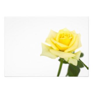 Yellow rose custom announcement