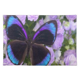 Black, Purple and Blue Butterfly Placemats