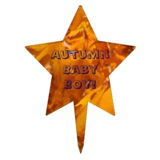 Autumn Baby Boy cake pick toppers Baby Shower
