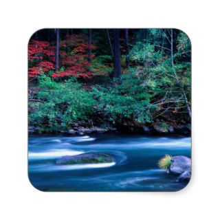 NA, USA, Oregon, Fall Foliage on North Umpquah Square Stickers